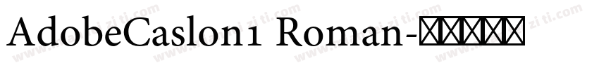 AdobeCaslon1 Roman字体转换